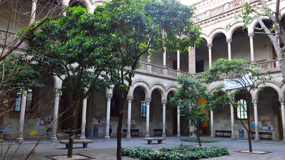 Universidad Barcelona.